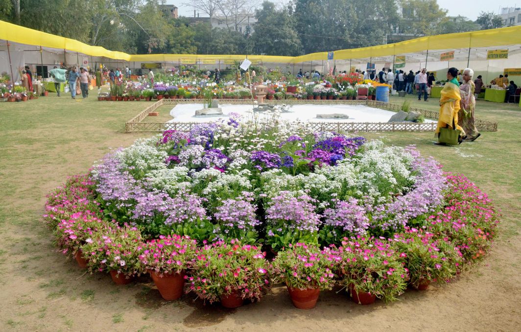 WALK IN THE PARK: A variety of blooms during a two-day fruit, vegetable and flower show organised by the All India Kitchen Garden Association (AIKGA), in New Delhi, UNI