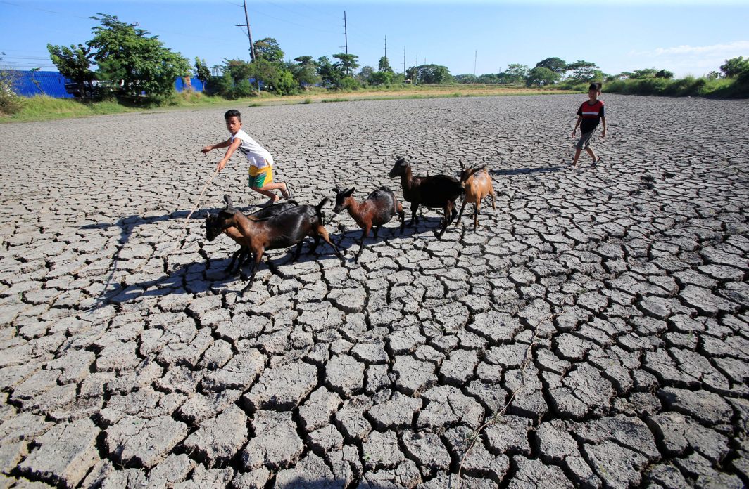 Children escort goats while walking over cracked soil at a dried up rice field in Baliuag town, Bulacan province, north of Manila, Philippines, Reuters/UNI