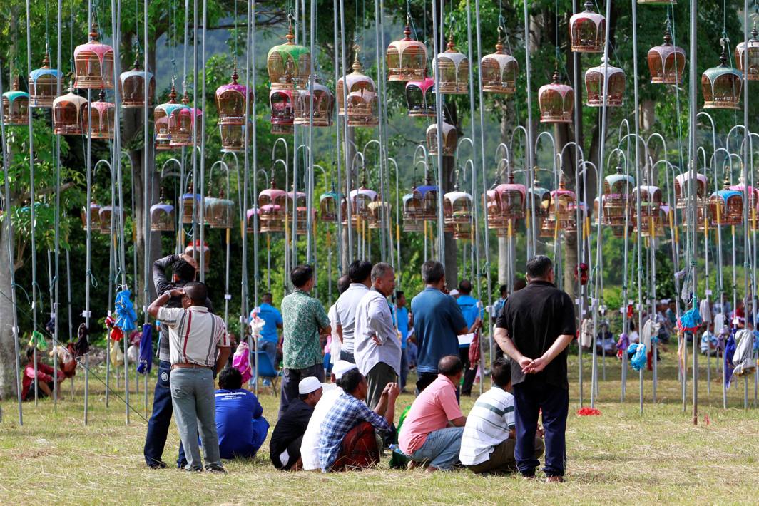 Thai Muslim villagers look at birds in cages taking part in a bird-singing contest in in the southern province of Pattani, Thailand, Reuters/UNI