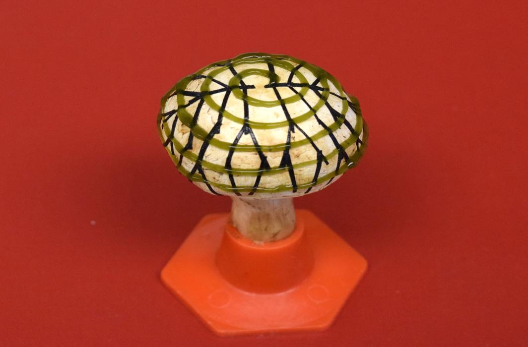 Bionic mushroom that produces electricity created by team of scientists, 2 of Indian origin