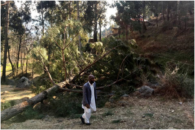 Man near damaged trees in Jaba village, Balakot: Reuters photo