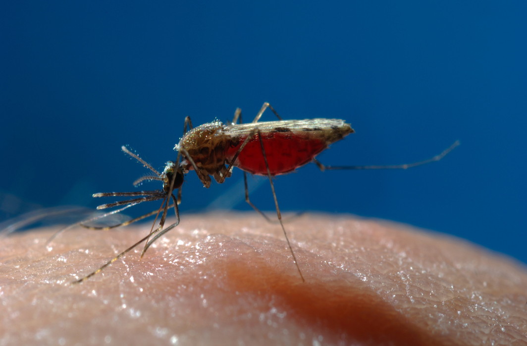 World welcomes roll-out of a Malaria vaccine; it is only partly effective, though