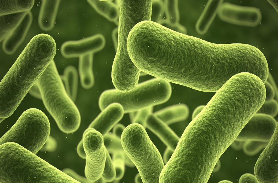 Scientists develop device to detect bacteria within minutes