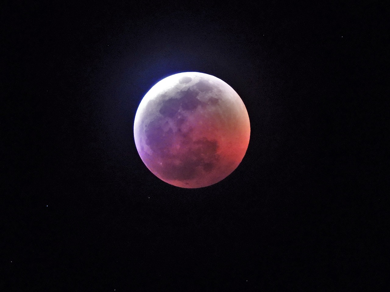 Wolf-Moon Eclipse