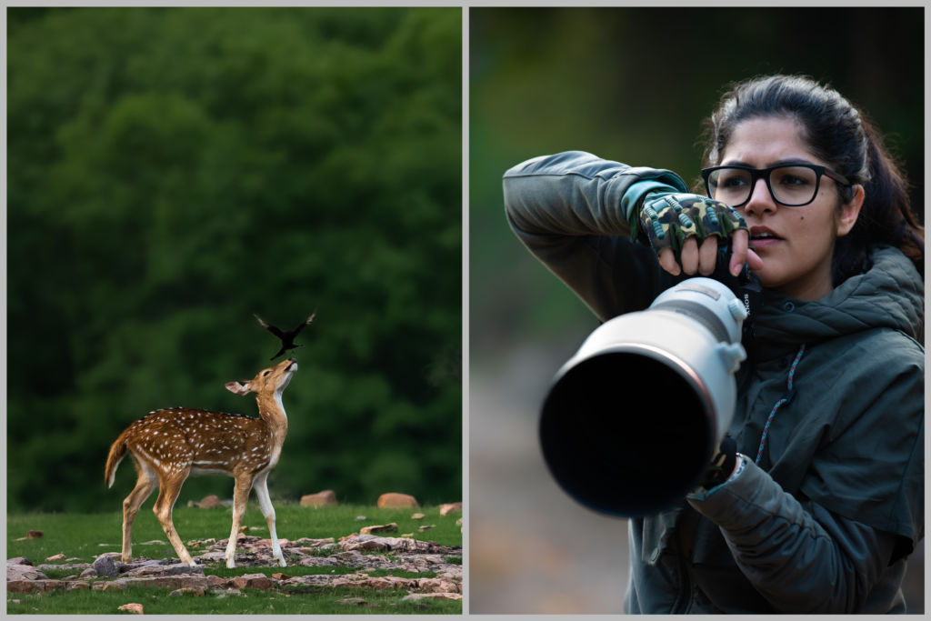 Aarzoo Khurana, an ace Wildlife Photographer