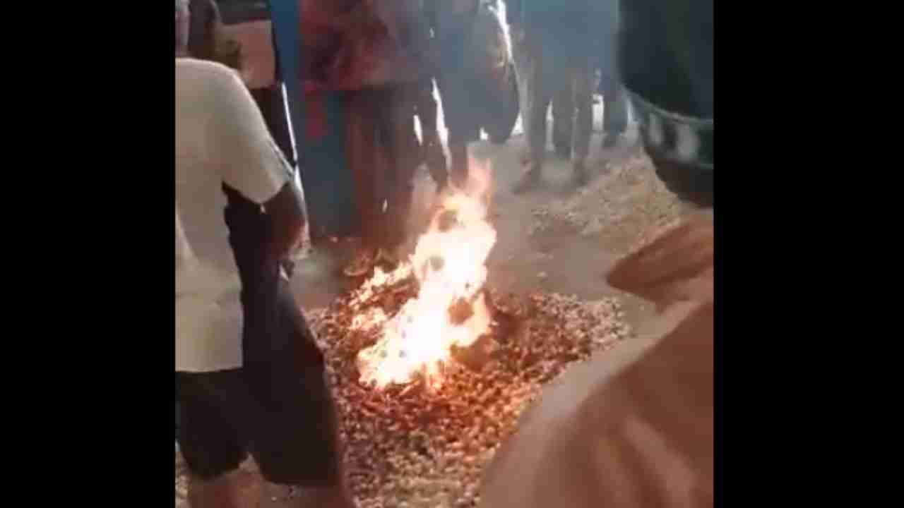 Madhya Pradesh farmer sets garlic crop ablaze over not getting fair price | WATCH