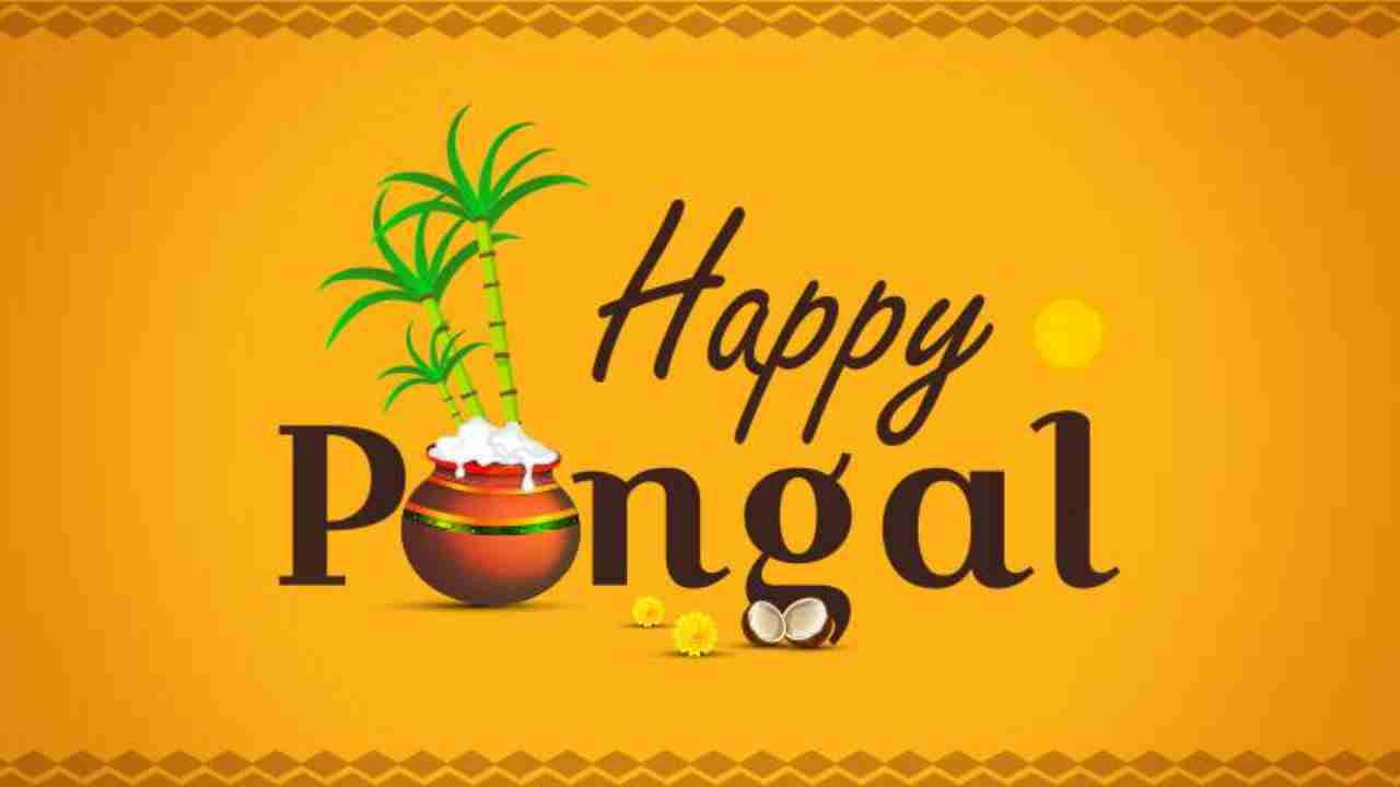 Happy Pongal 2022: History, significance, and celebrations of the auspicious festival