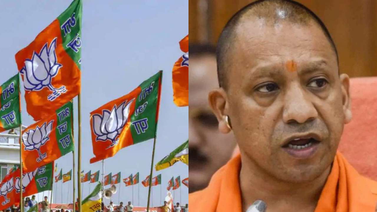 Uttar Pradesh Assembly Elections 2022: From bulldozer man to dumroo man, here's how people in UP are celebrating Yogi's win