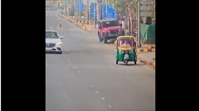 Mahindra Thar runs over pedestrian