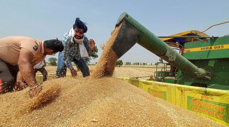 wheat export ban