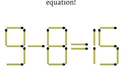 puzzle equation
