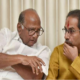 NCP's Sharad Pawar and Uddhav Thackeray