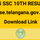 TS SSC Result 2022 declared, here's how to check, direct link