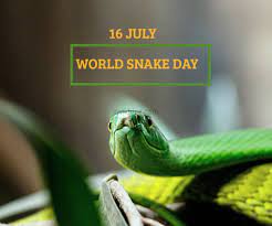 World Snake Day 2022