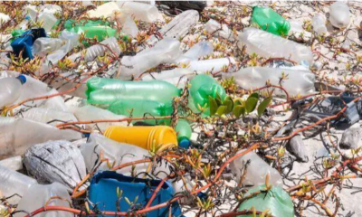 Mumbai beach turns garbage dump
