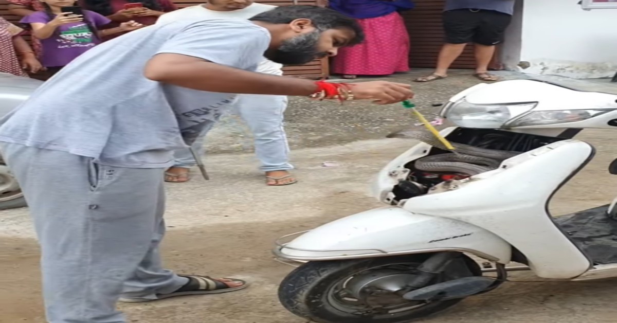 Man saves cobra stuck in scooter
