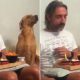 Viral: Dog's disinterest in owner's food will make you go ROFL | WATCH