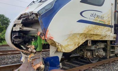 Gujarat: Vande Bharat Express train runs over 54-year-old woman near Anand, dead