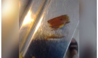 Cockroach found in meal