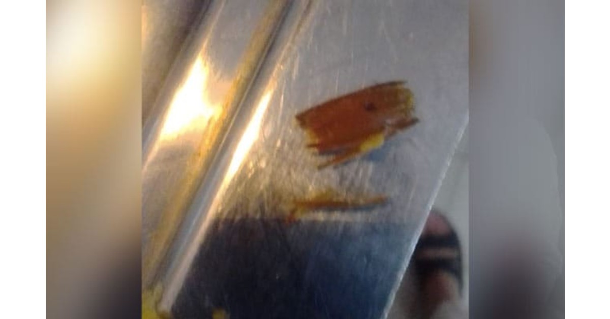 Cockroach found in meal