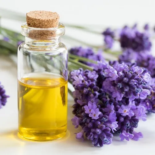 How to use essential oil? Know uses, types, benefits, and more - APN News