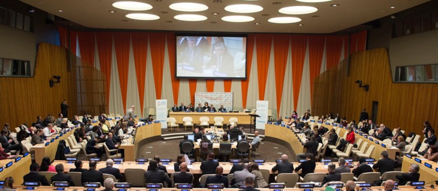 UN ECOSOC: UN Council