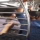 Bihari, Marathi passengers fight over language in Mumbai local, video viral | WATCH