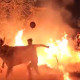Karnataka bull race through fire