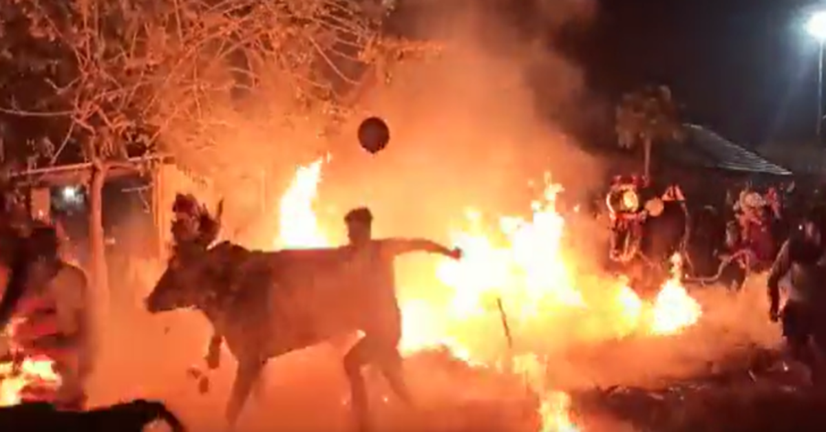 Karnataka bull race through fire