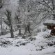 Jammu & Kashmir: Doctors help woman deliver via WhatsApp call in snow-capped Keran