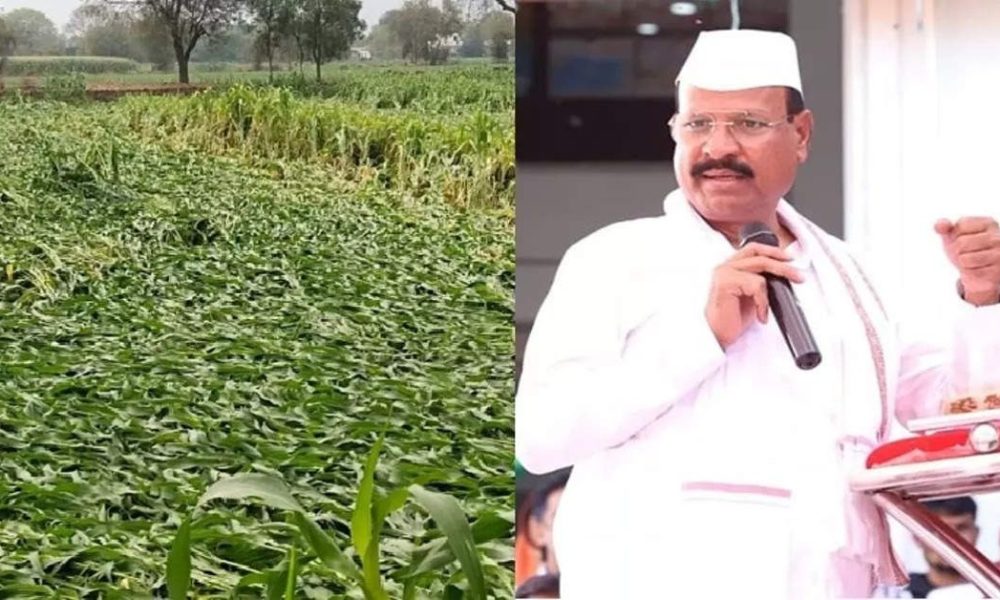 Maharashtra Agriculture Minister