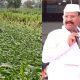 Maharashtra Agriculture Minister