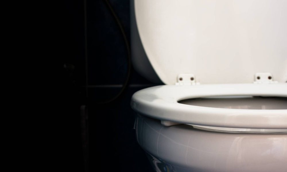 Waterless Toilet: Now you can turn your poop into ash, here's how | WATCH