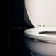 Waterless Toilet: Now you can turn your poop into ash, here's how | WATCH