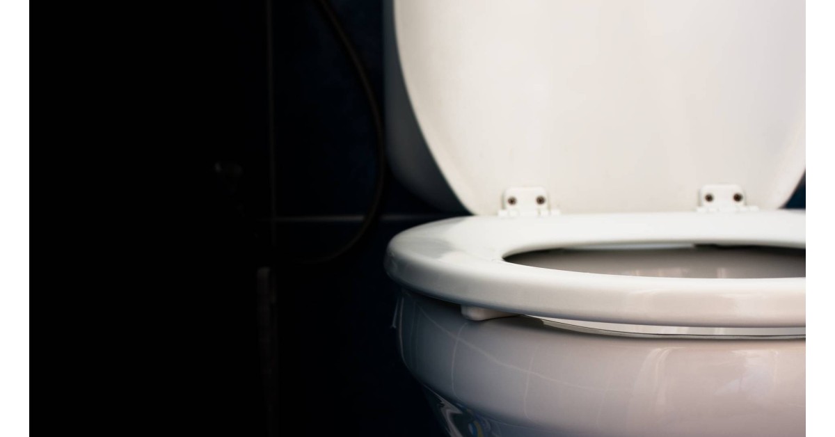 Waterless Toilet: Now you can turn your poop into ash, here's how | WATCH