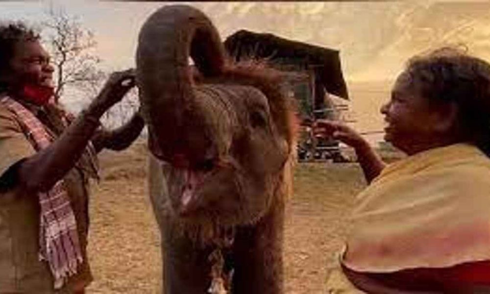 PM Modi to meet The Elephant Wishperers' Bomman, Bellie