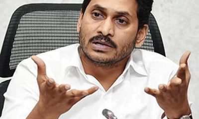 Rare: Andhra Pradesh lady files police complaint against dog over tearing up CM Jagan Reddy’s poster
