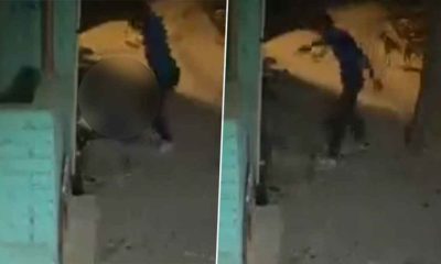 Gruesome murder on camera: Man bludgeons minor girlfriend with cement slab five times in Shahbad Dairy, Kapil Mishra draws Kerala Story parallel