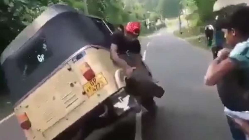 Auto-driver stunt