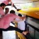 Gujarat college bus