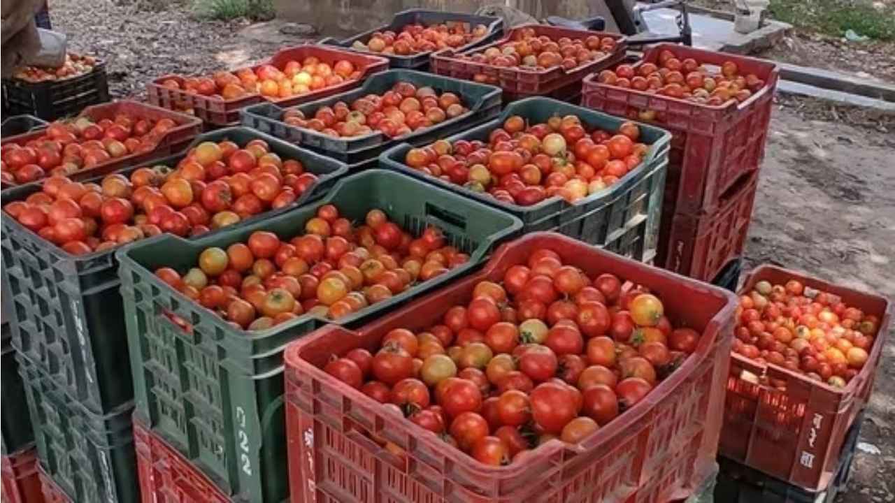 Tomato prices touch the roof, cross Rs 120 per kg in Delhi, Noida