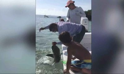 Watch: Man dips his hand into water in Everglades National Park, pulls him into away