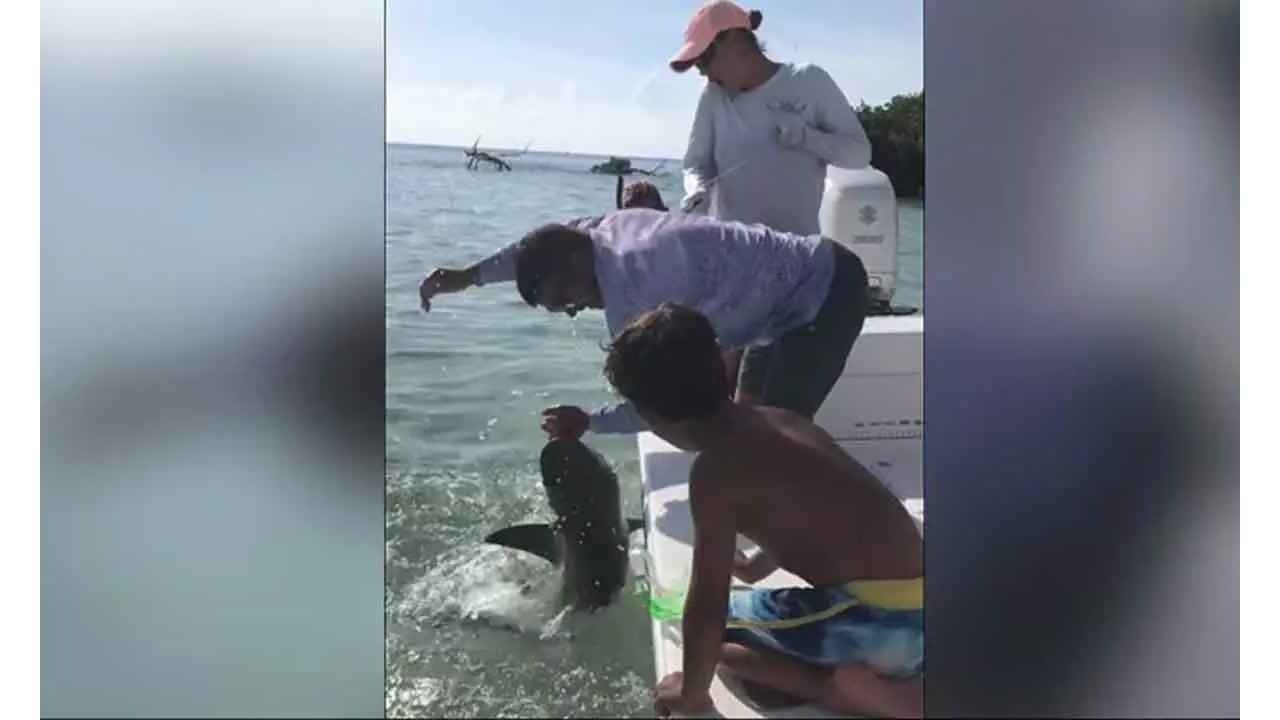 Watch: Man dips his hand into water in Everglades National Park, pulls him into away