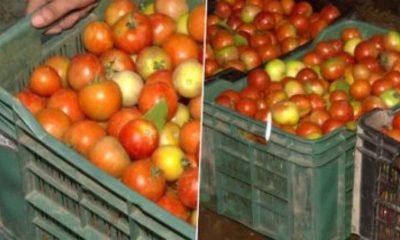 Government says prices of tomatoes are expected to stabilise in next 15 days, as prices hurt common man’s budget