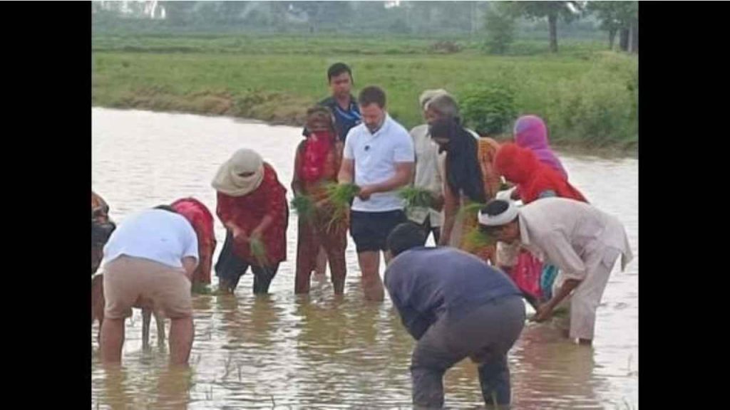 Rahul Gandhi surprises Sonipat farmers, drives tractor in stop on his way to Shimla