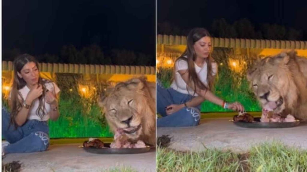 Watch: Video of a woman sharing a meal with a lion goes viral