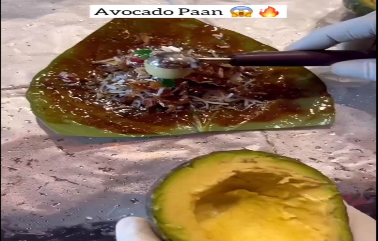 Viral: Delhi paan shop owner sells Avocado Paan, netizens react