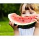 National Watermelon Day: Dig into a slice, make a smoothie or put together a fruit salad