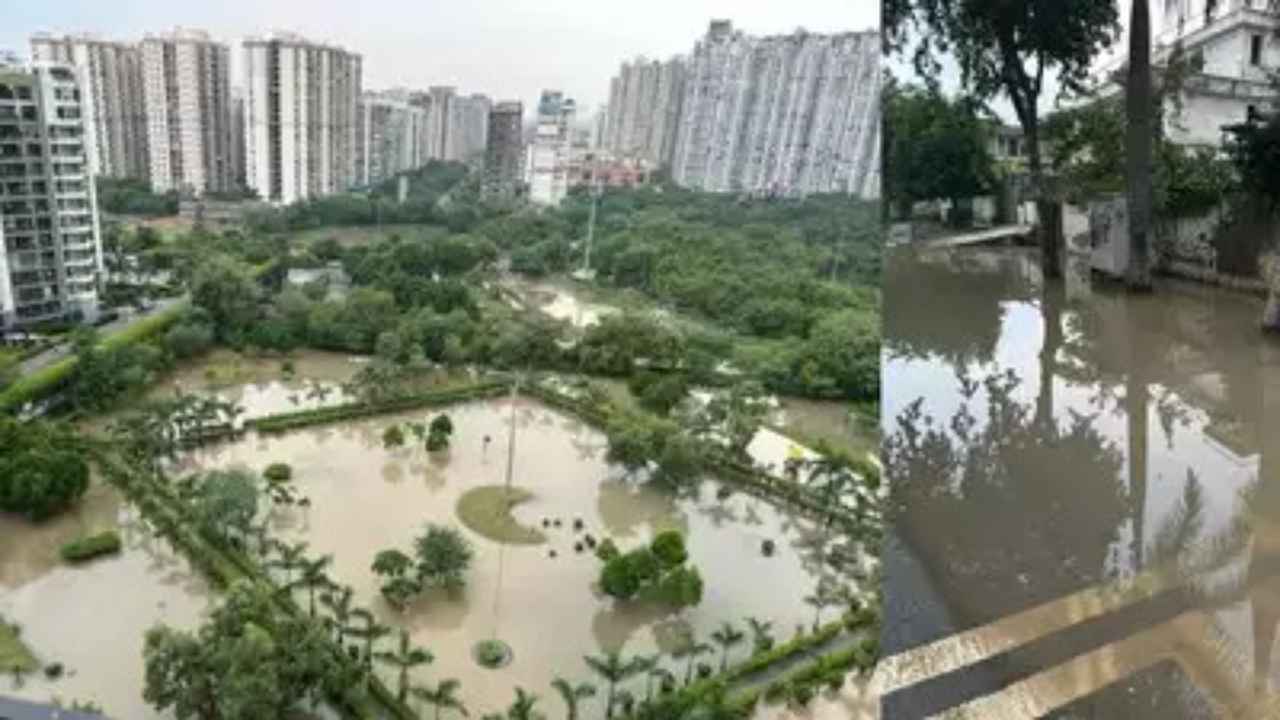 Noida: Parks in residential sectors filled with rainwater, becomes a breeding ground for mosquitos