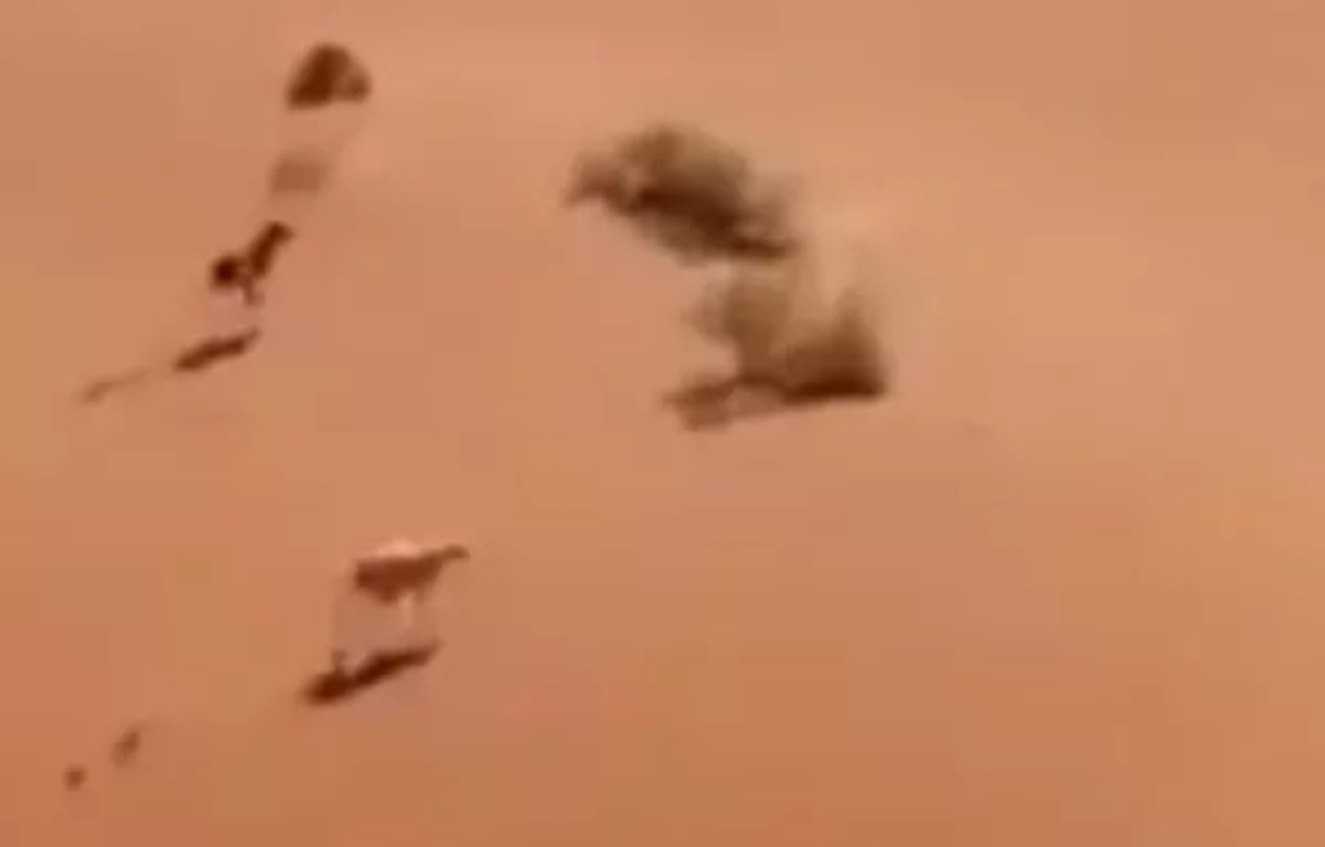 Viral: Wild dogs chase rabbit through a desert, netizens hail rabbit's trick